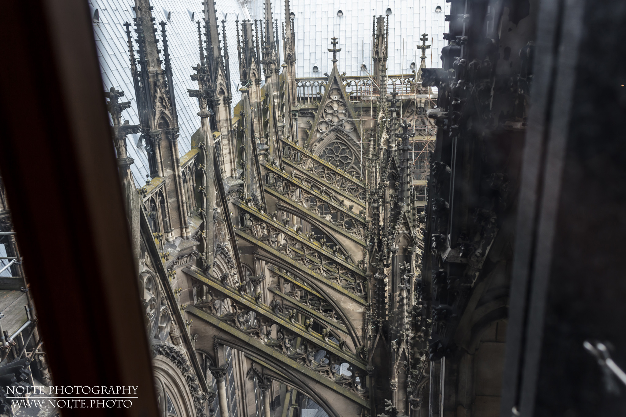 Blick auf das Dach des Kölner Dom