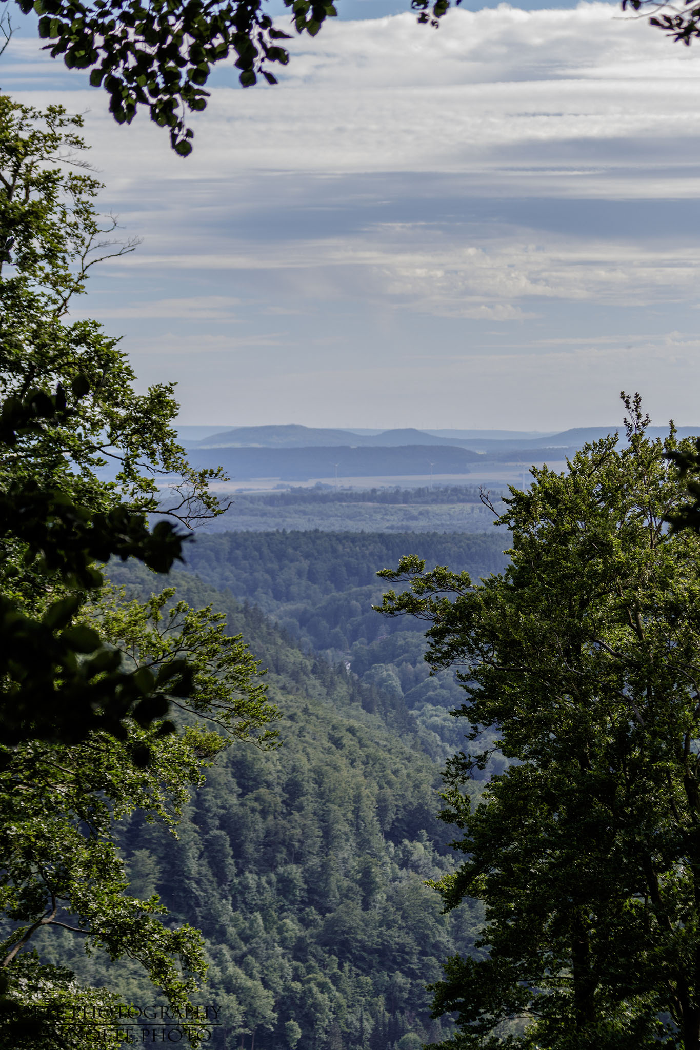 Den Harz im Blick