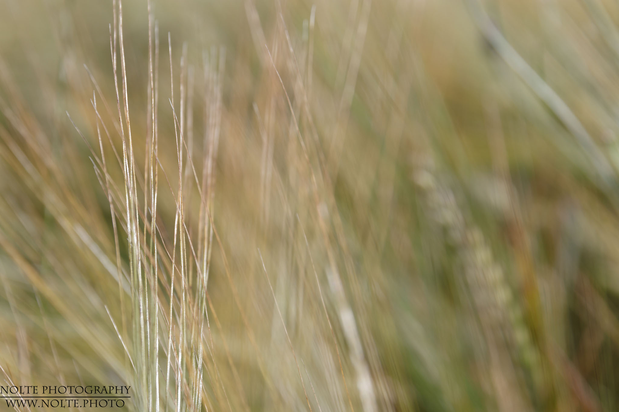 Kreative Darstellung einer Wiese