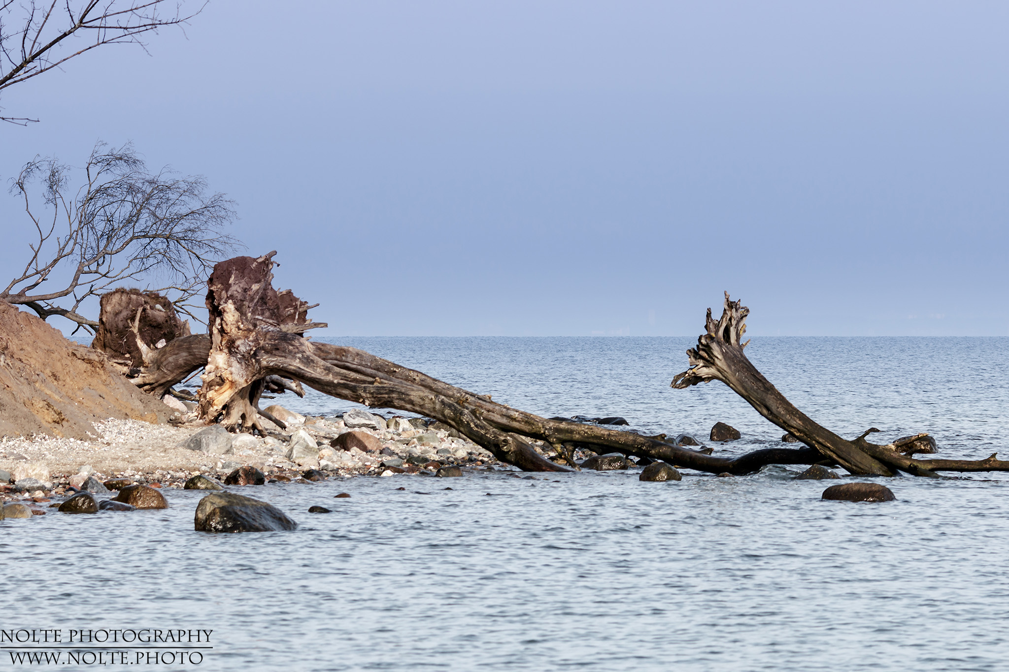 Tote Bäume am Wasser