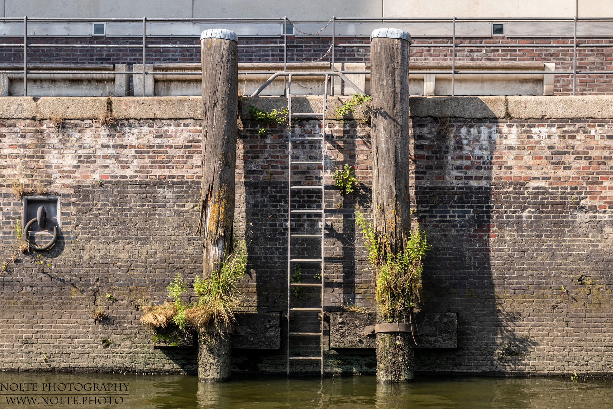 Die Natur findet ihren Platz