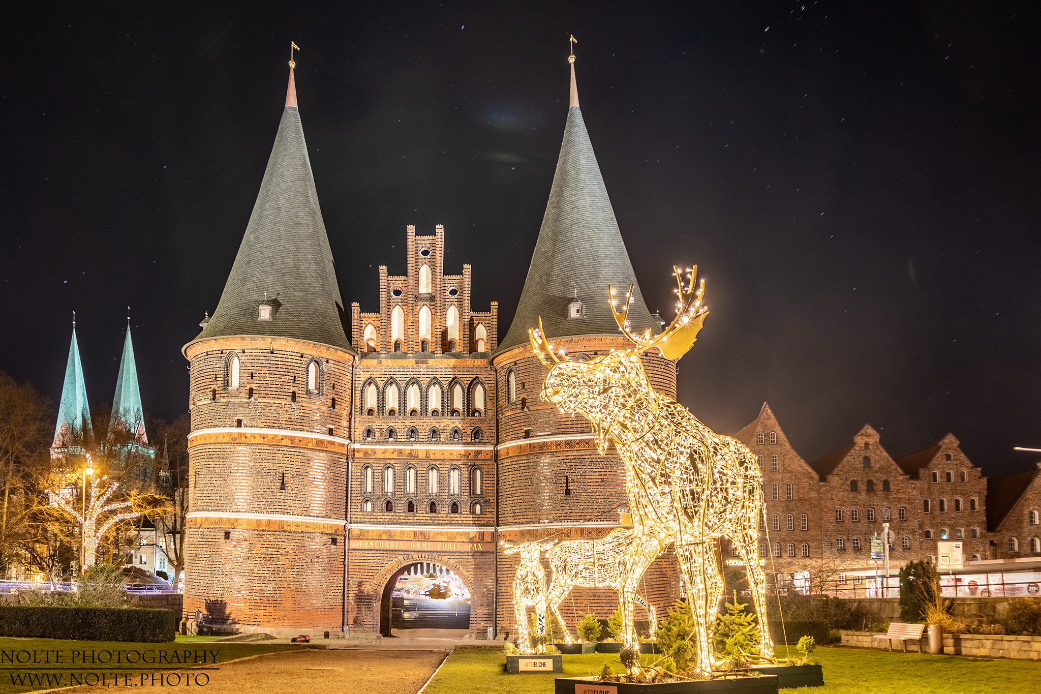 Travemünder Elche auf Ausflug nach Lübeck