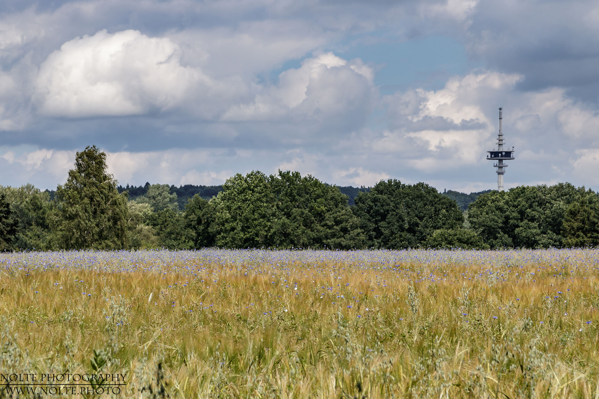 Blick von Sülfeld aus, zum Fernsehturm