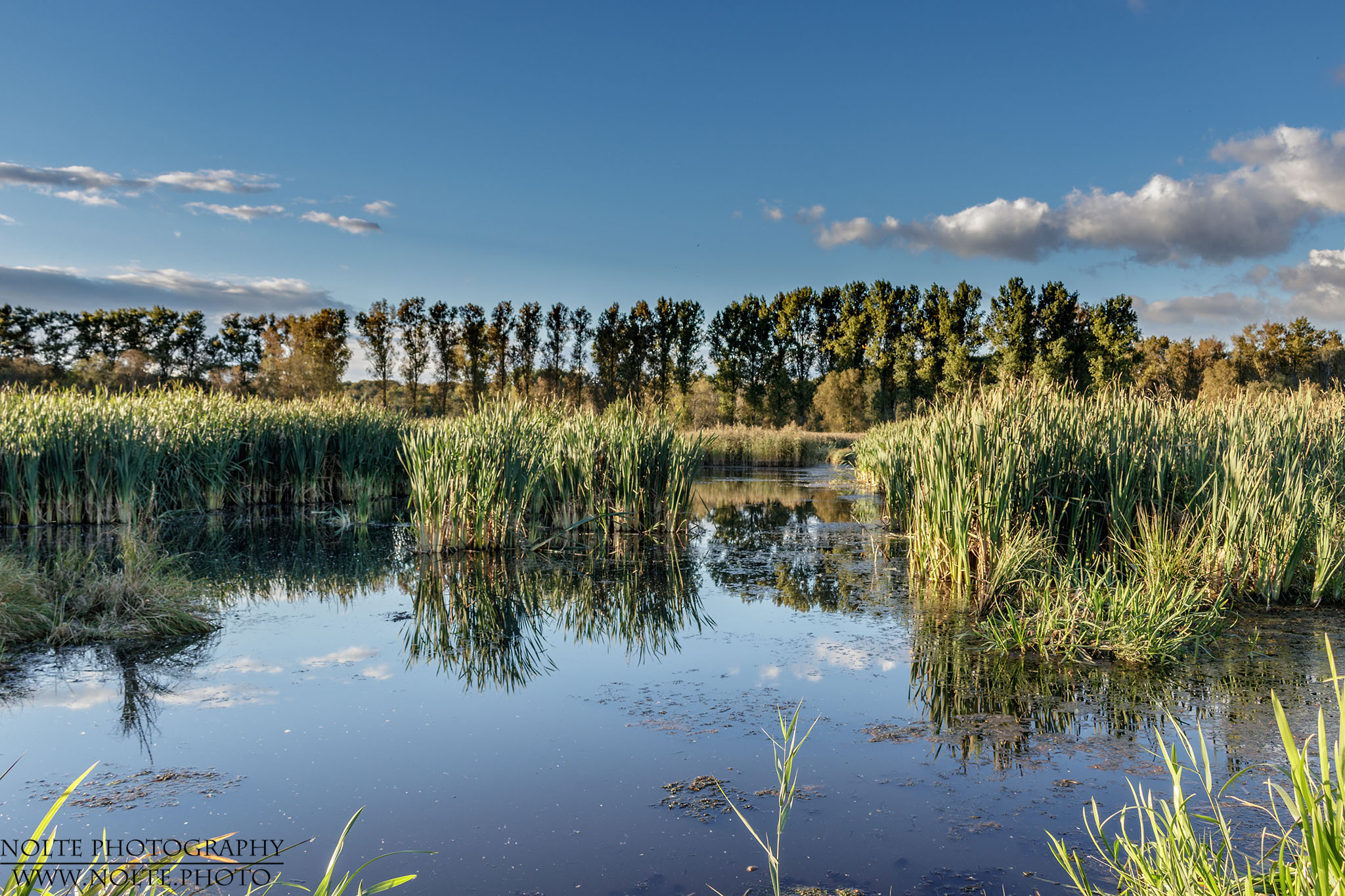 Spiegelungen im Brenner Moor