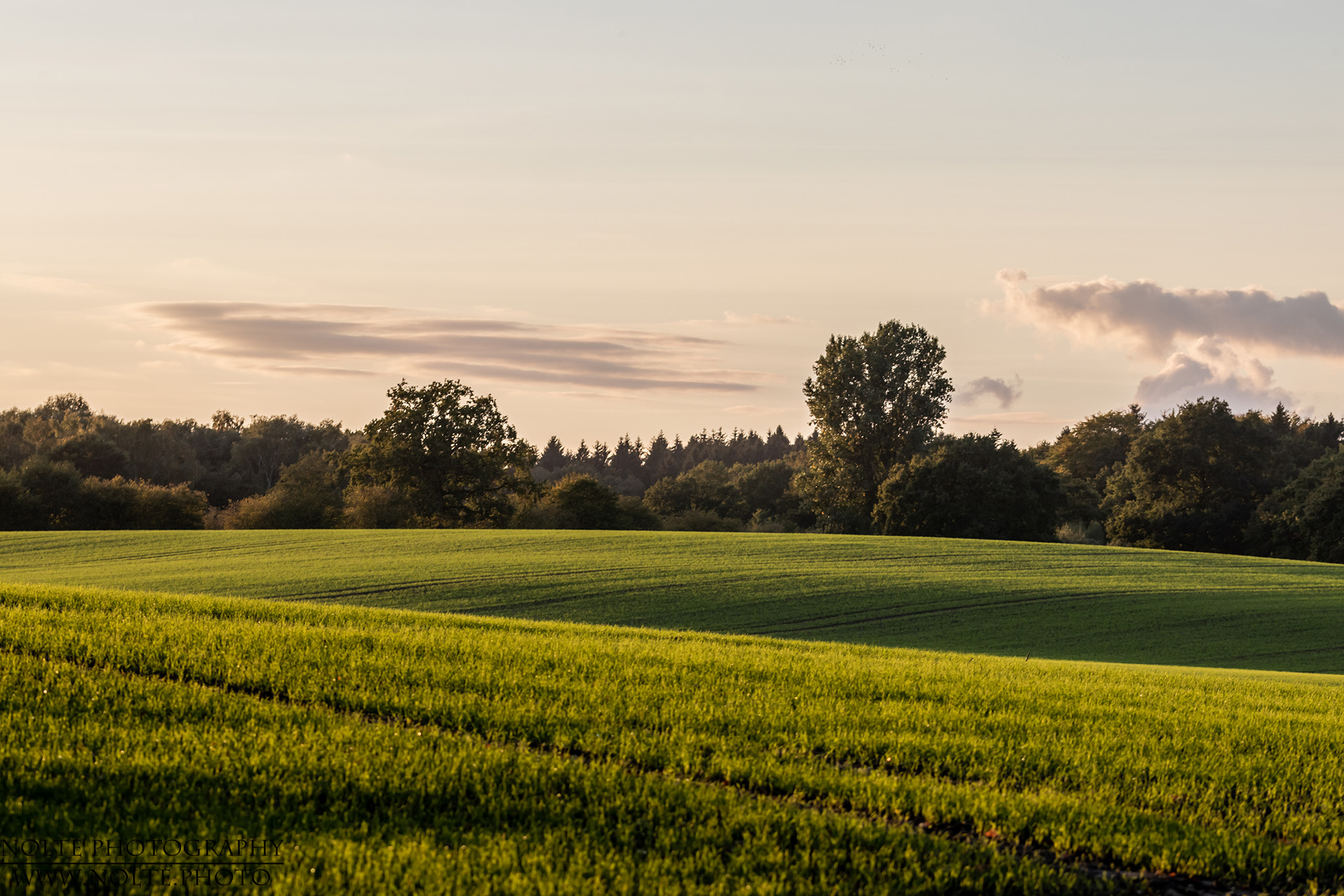 Felder bei Floggensee