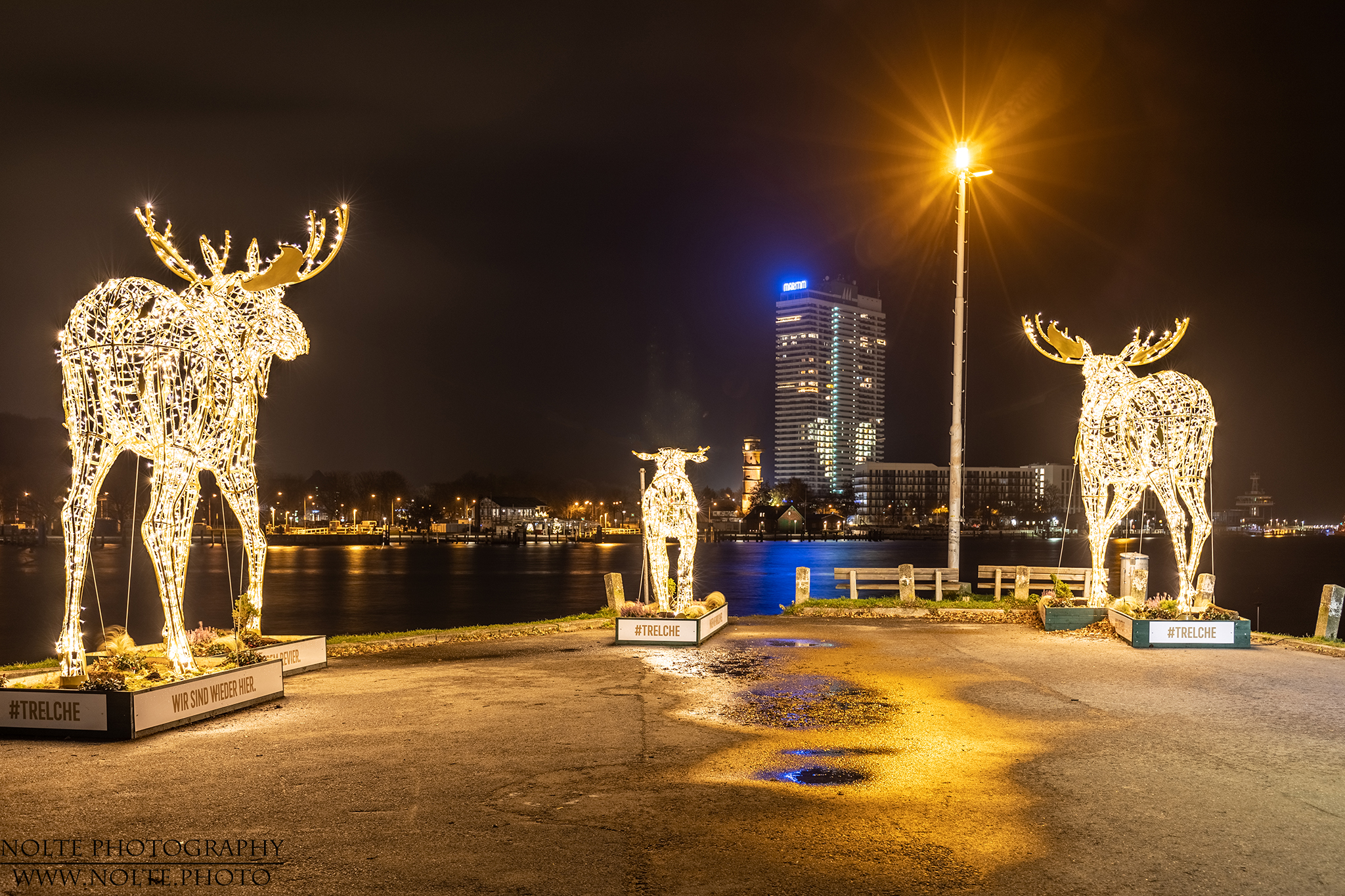 Wenn die Elche kommen...