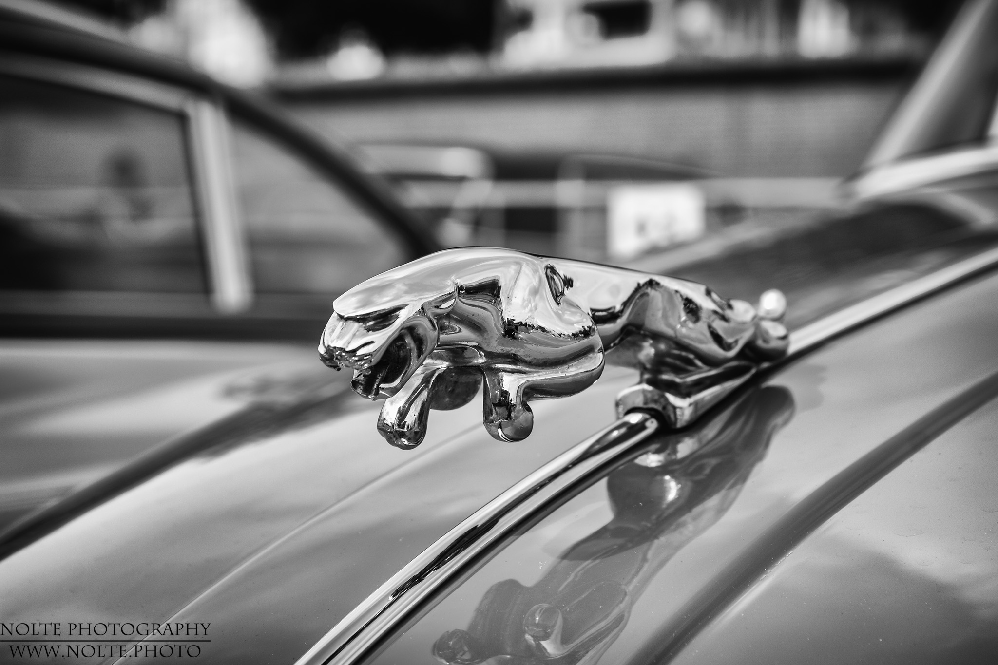 Kühlerfigur an einem 1961 Jaguar XK150