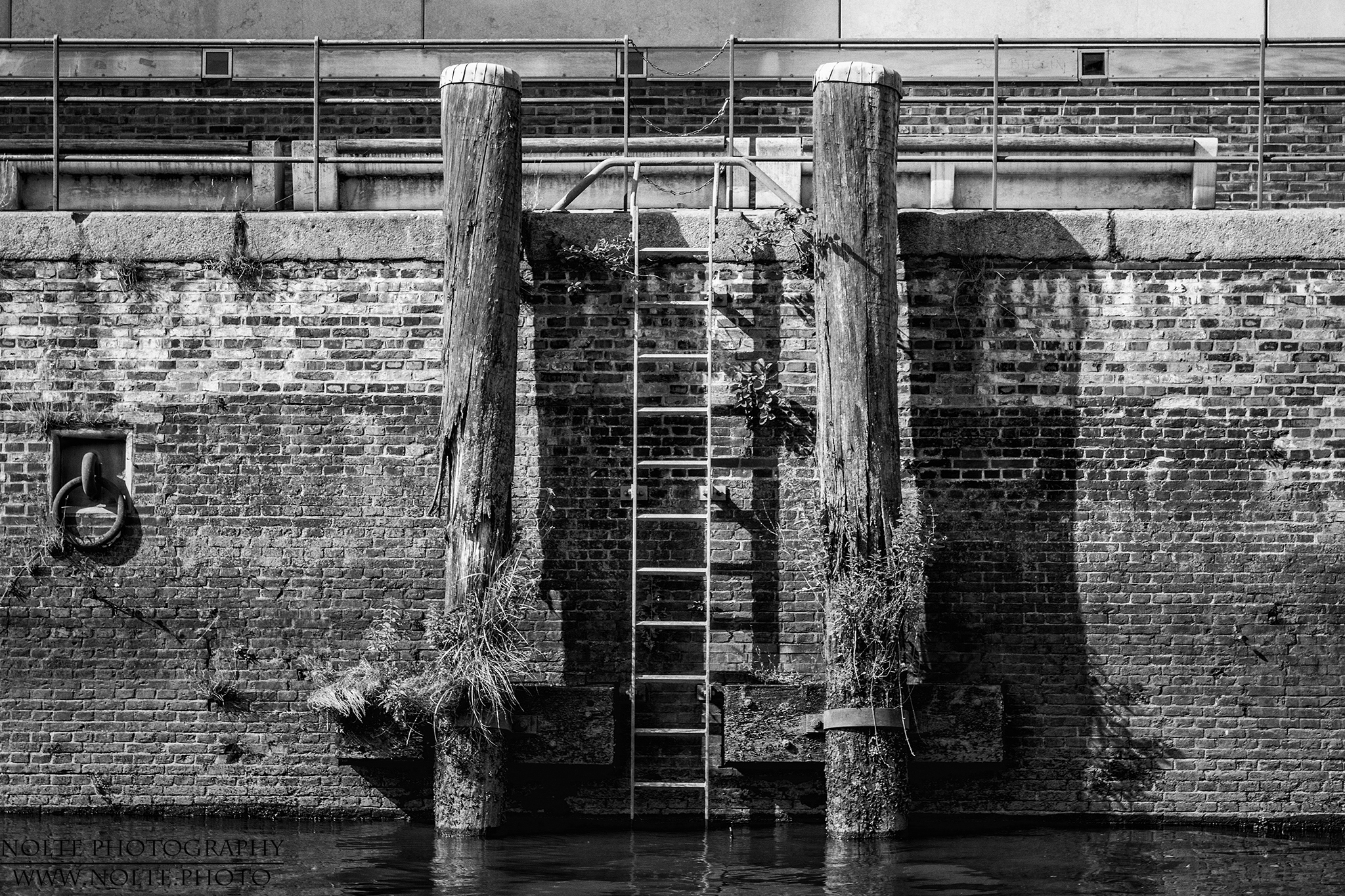 Die Natur findet ihren Platz