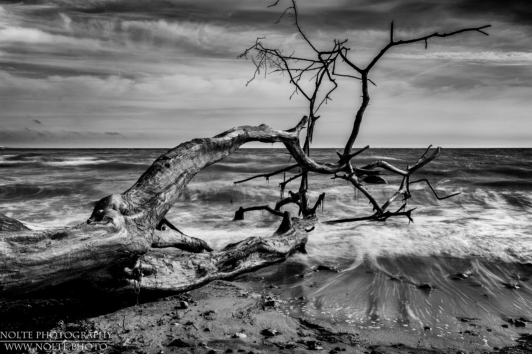 Baumstamm in der Brandung