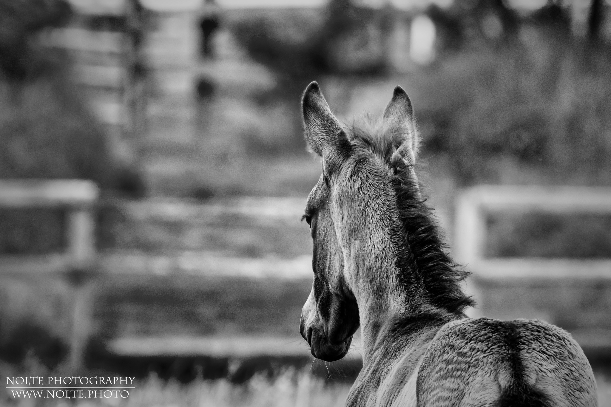 Warten auf die Freunde