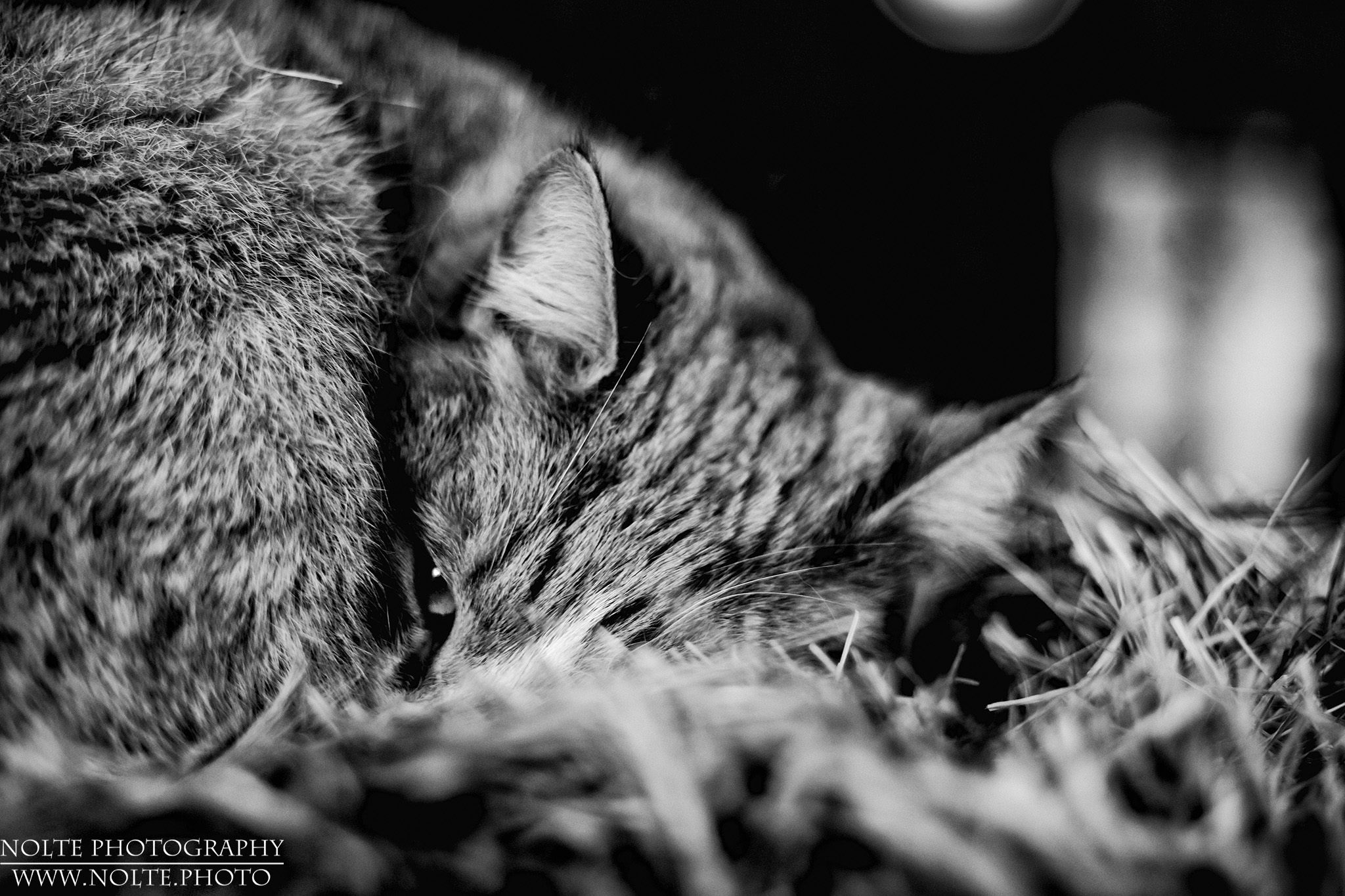 Lass mich schlafen...