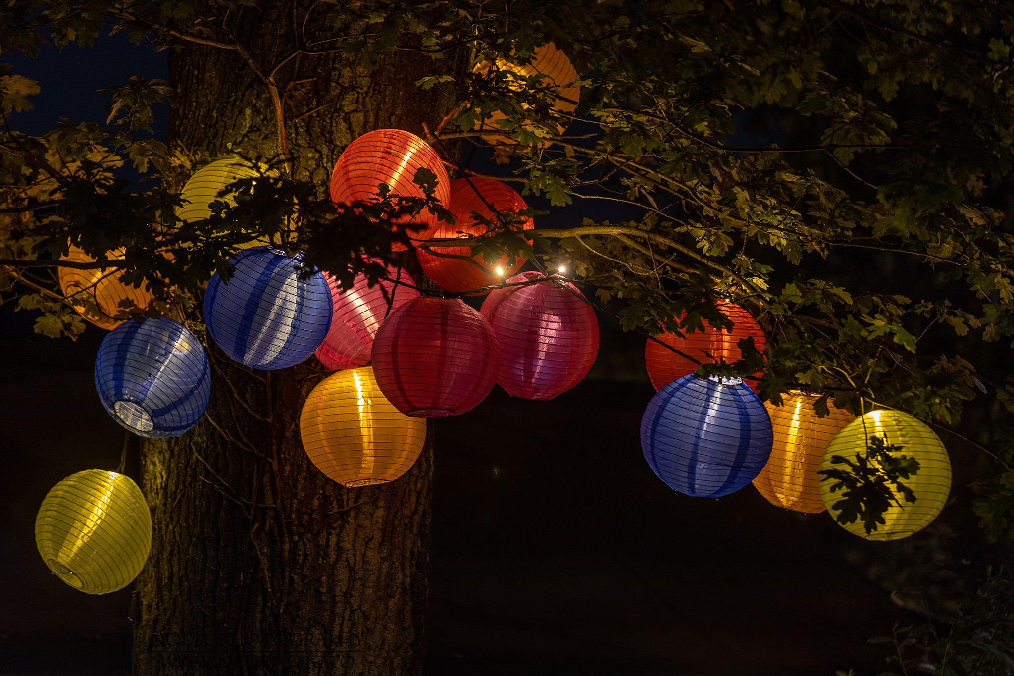 Lampions im Baum