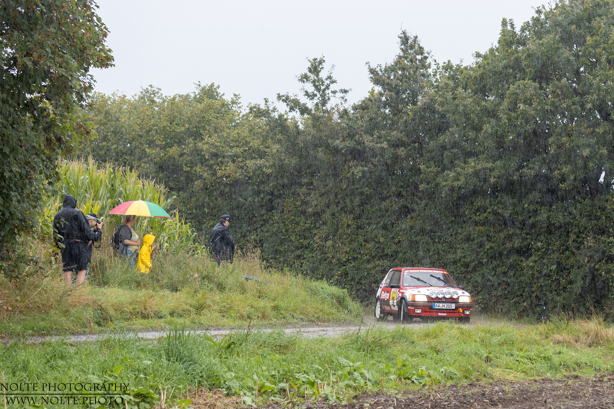 Nur die harten kommen in den Garten - Oder an die Strecke