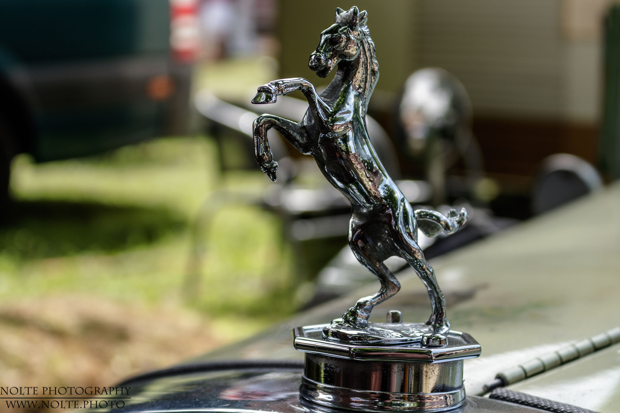 Französisches Pferd