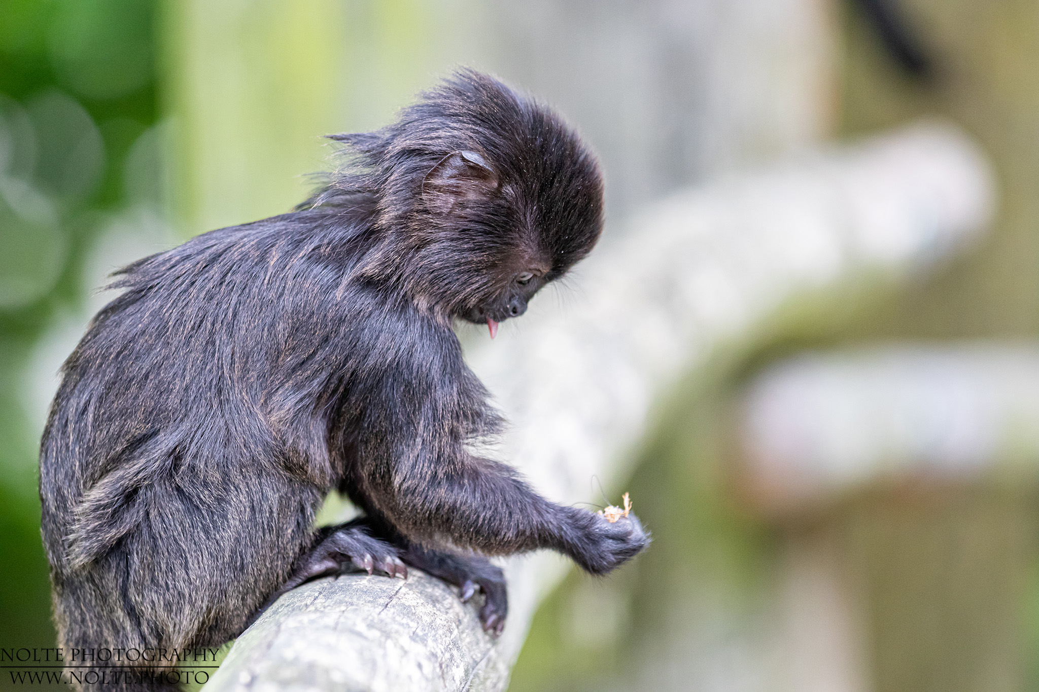 Ihh das schmeckt nicht...