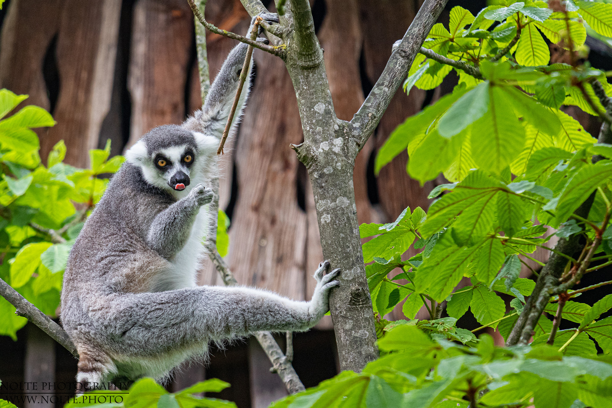 DU! Du wirst mir jetzt Futter bringen!