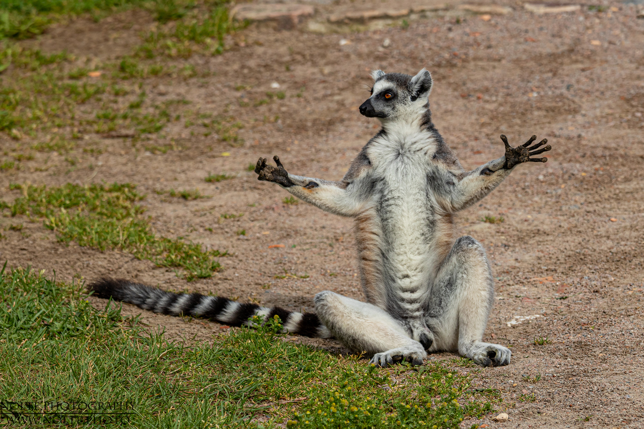 Die banane war soooo gross...