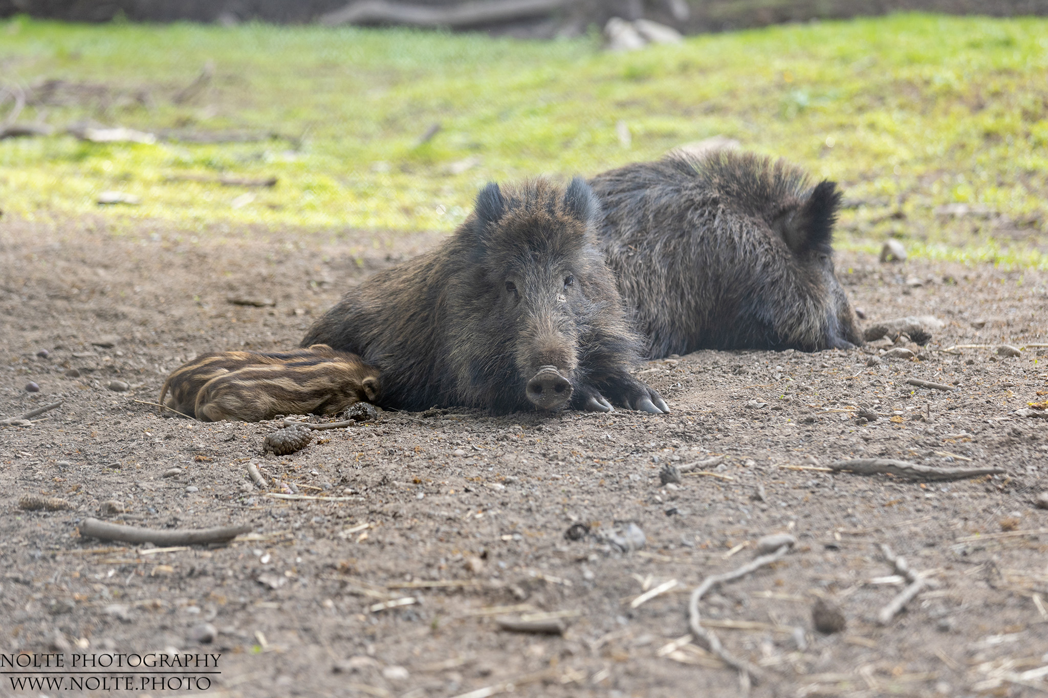 Kleiner Snack bei Mutti
