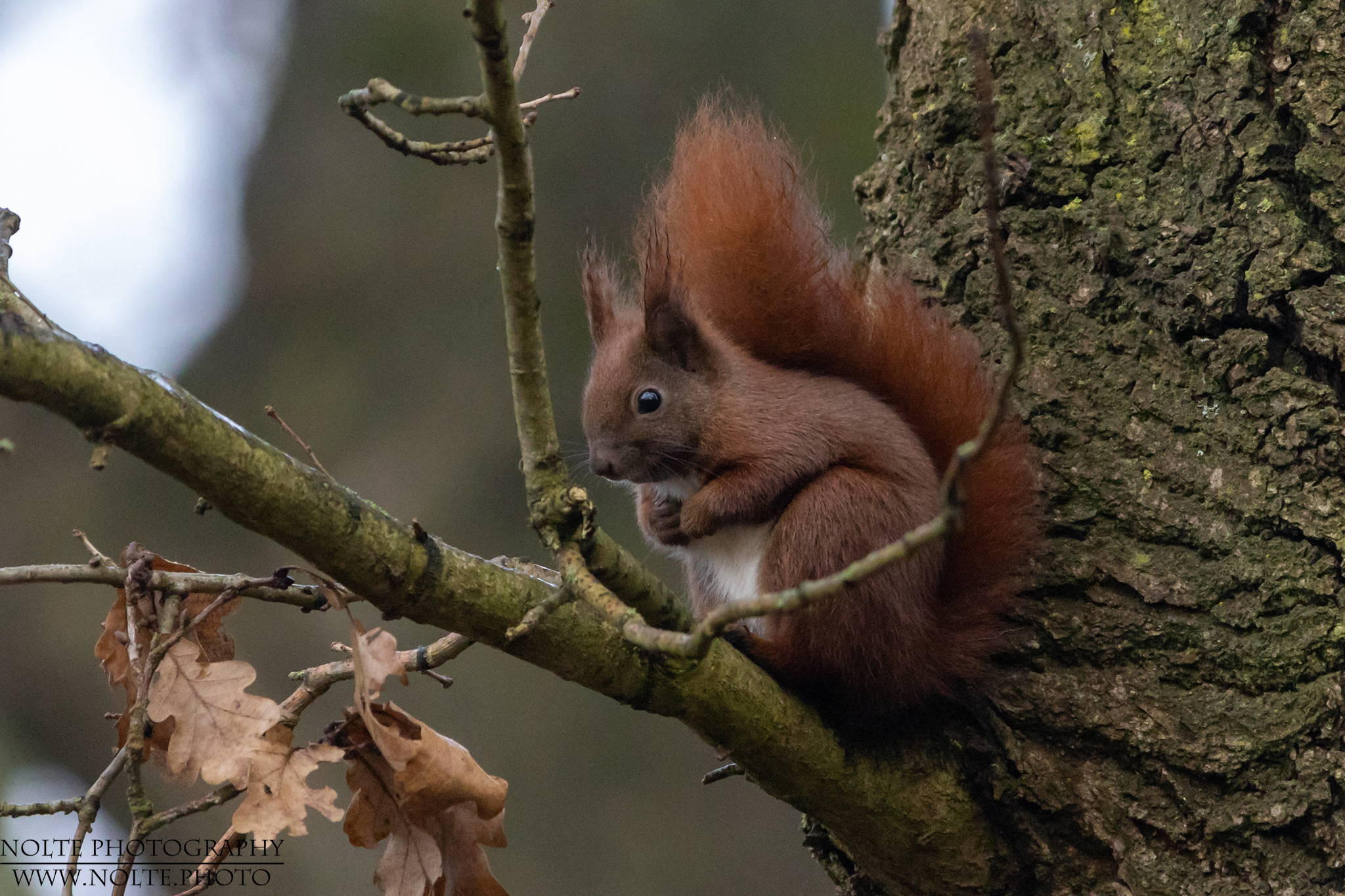 Auf Beobachtungsposten
