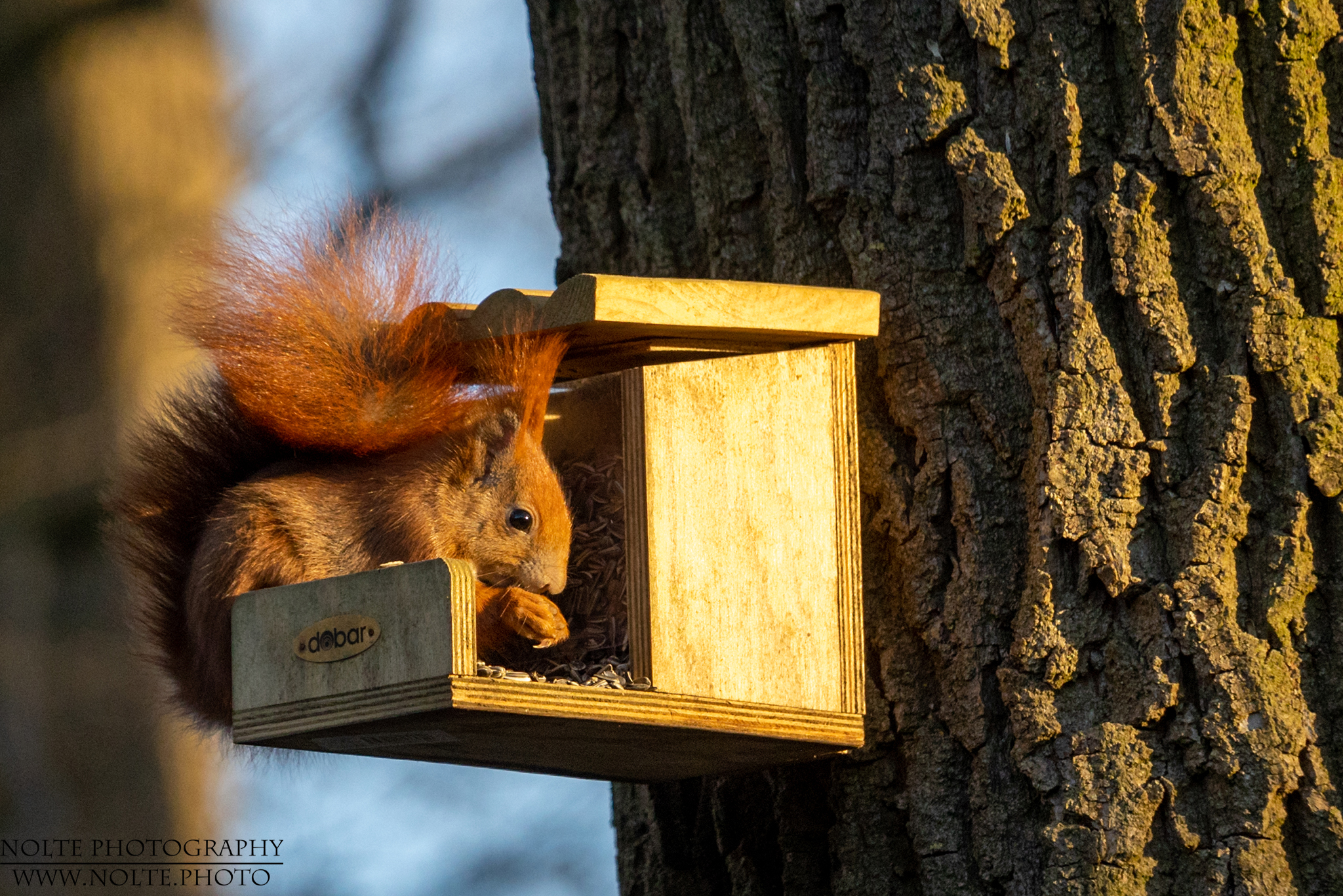Frühstück im Sonnenaufgang auf der Terrasse...