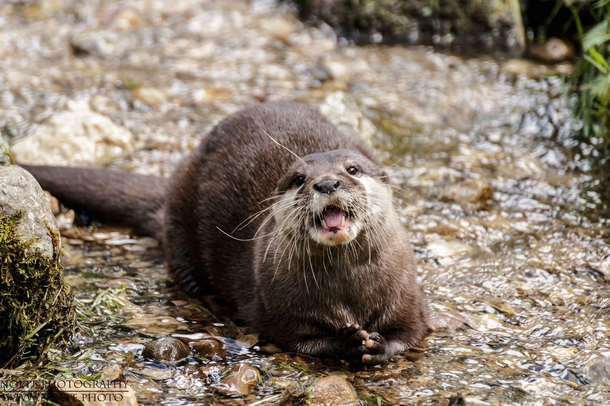 Soll ich dir was erzählen?