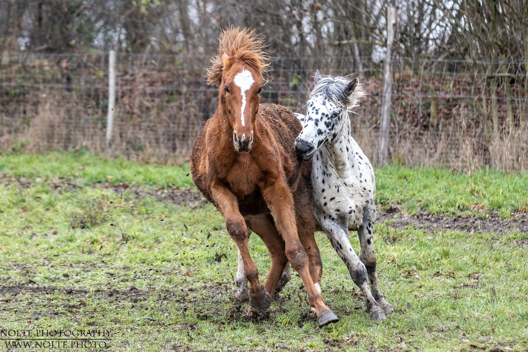 Verdammt, ich kann nicht bremsen!