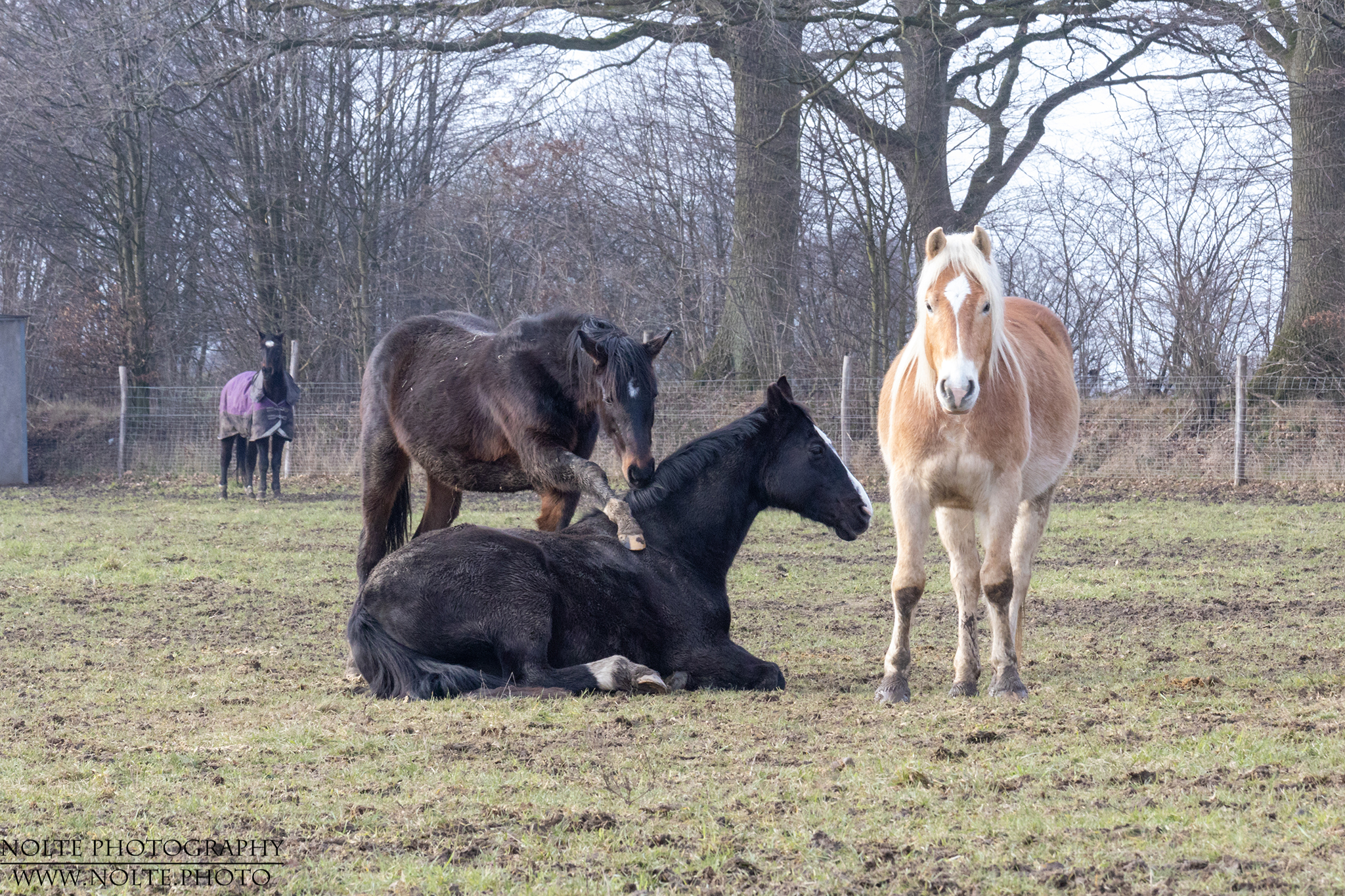 Hey, ich will spielen!