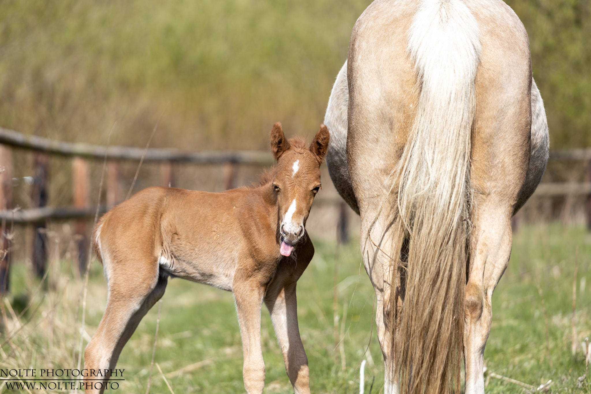 Nur Quatsch im Kopf...