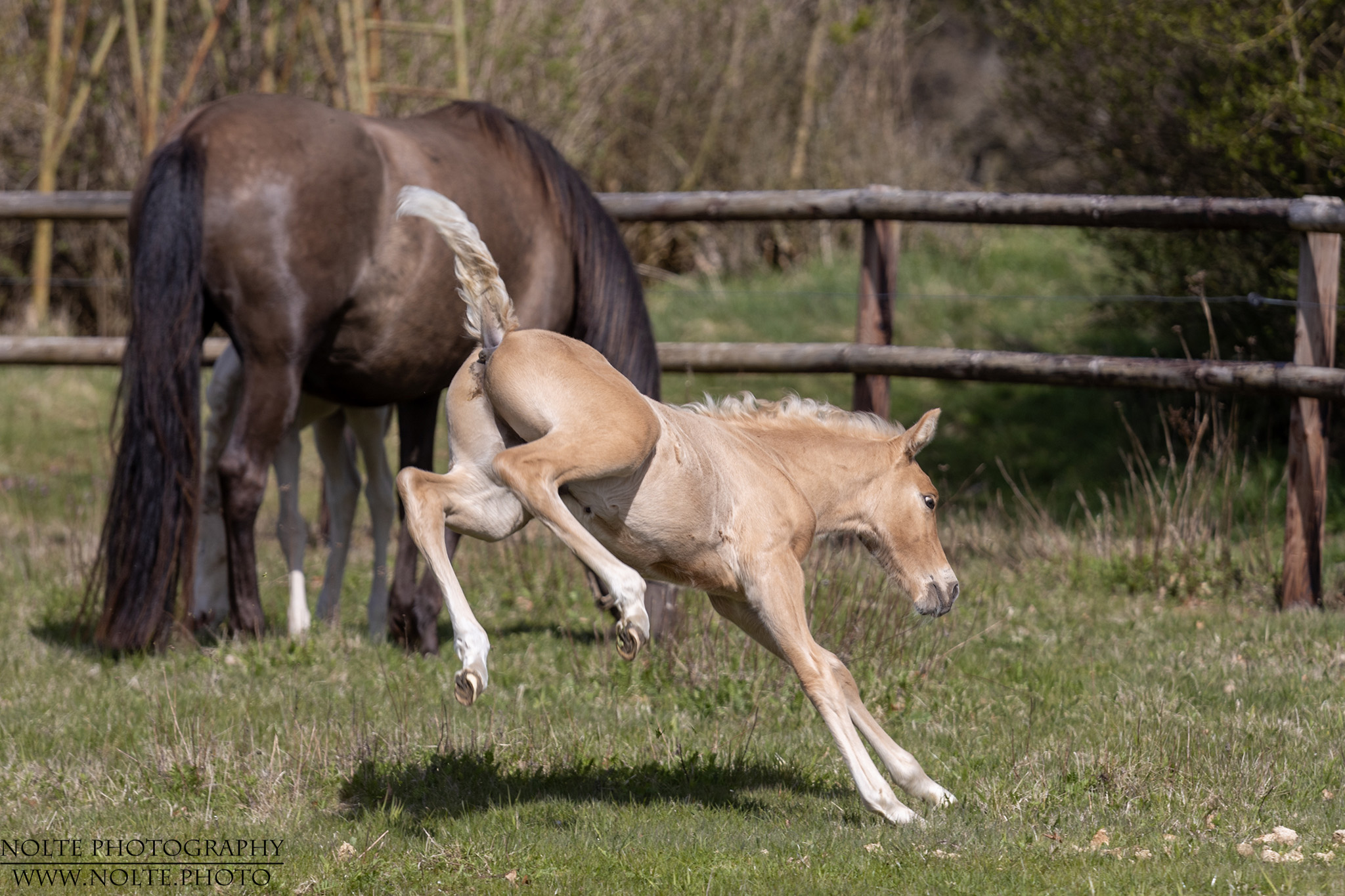 Und Hoch den Hintern!