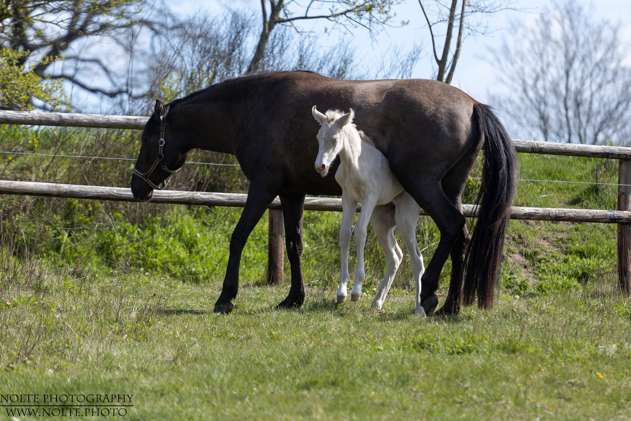 Wenn Mutti nicht will...