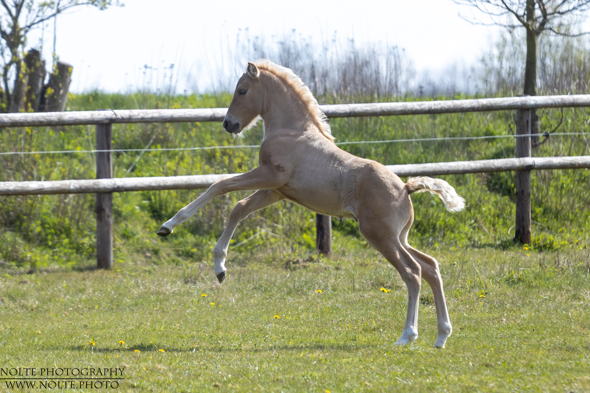 Wenn ich Gross bin, gehe ich zu Ferrari...