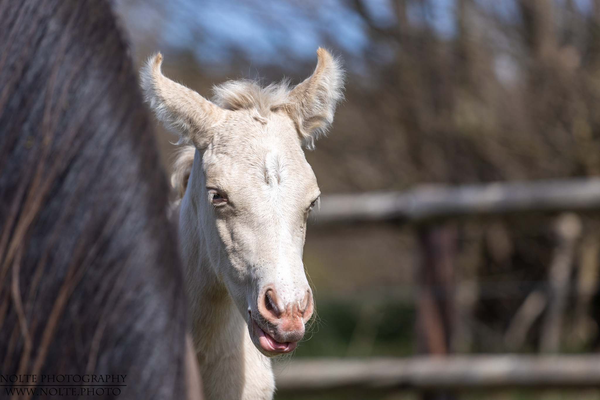 Verstecktes Portrait