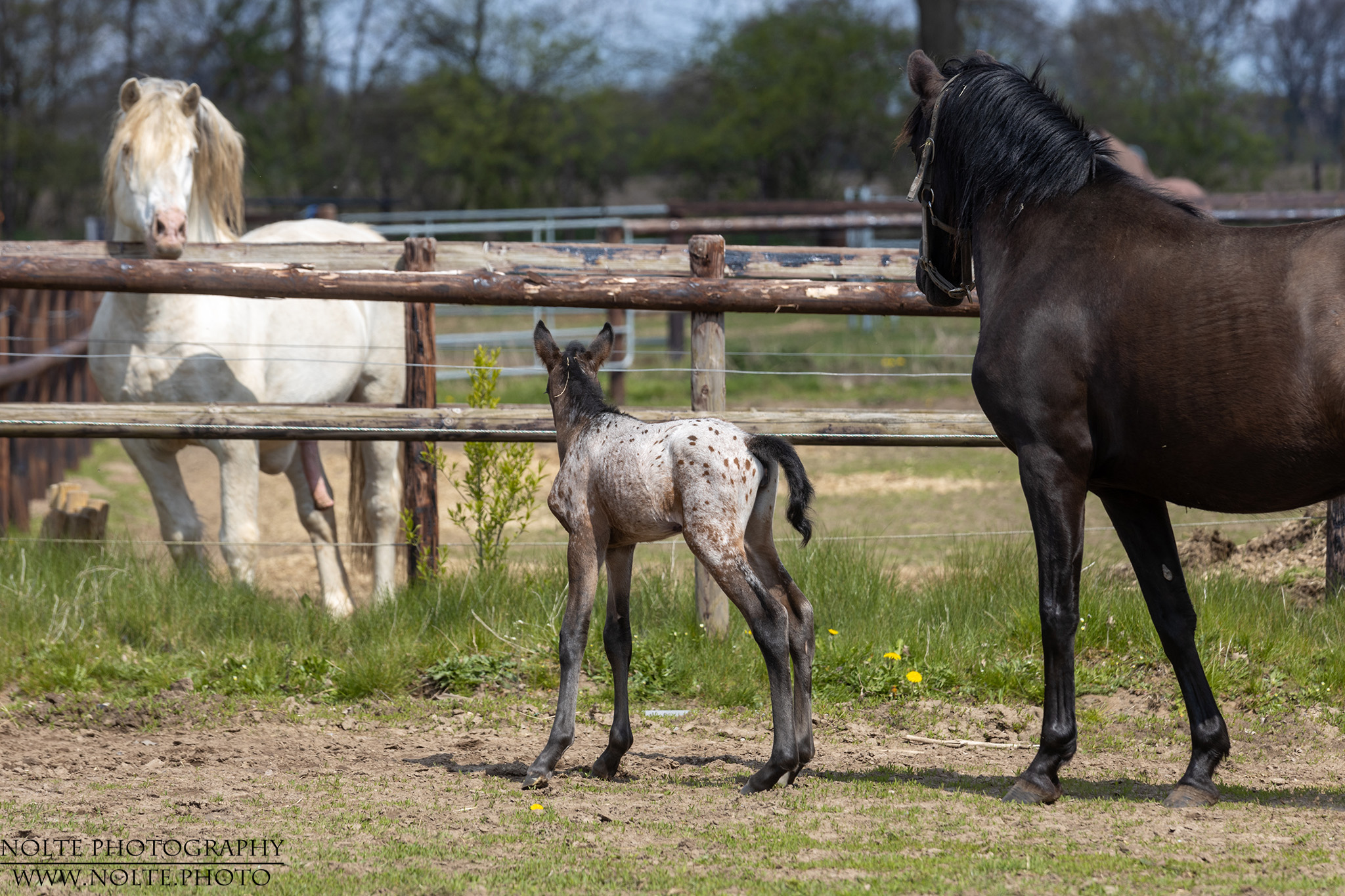 Familientreffen mit Papa