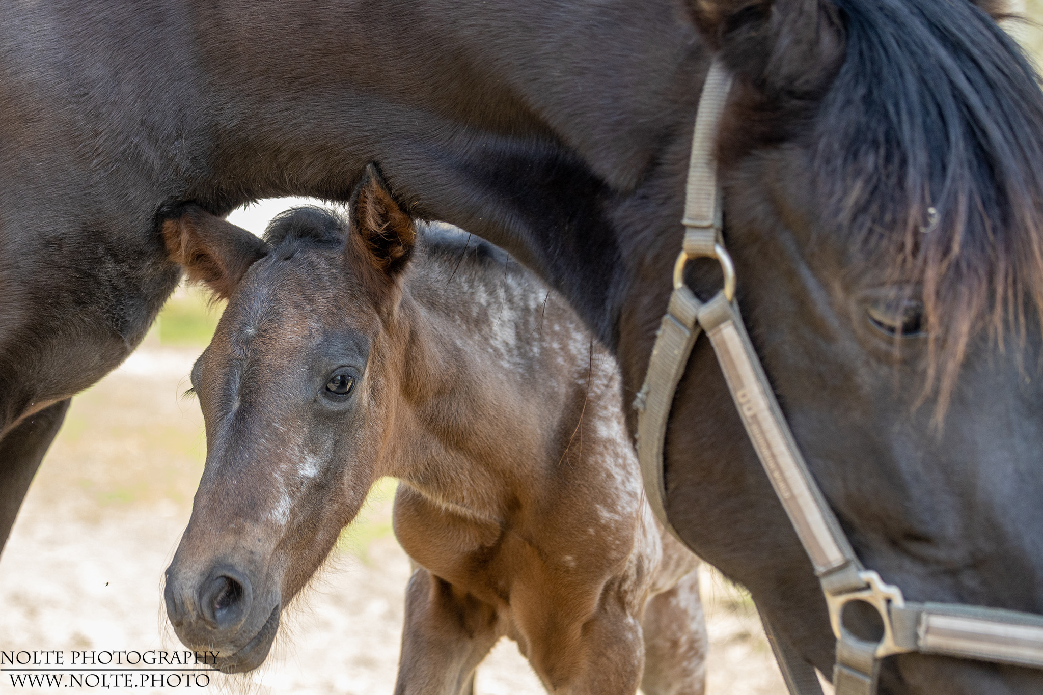 Gut versteckt unter Muttis Hals