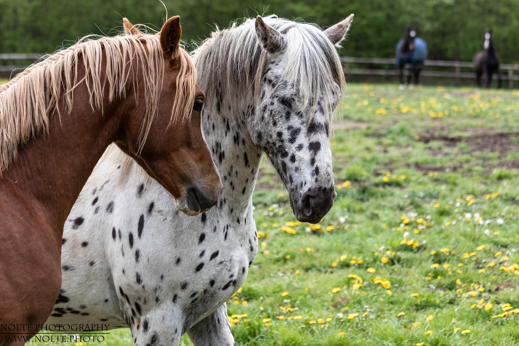 Hecken sie etwas aus?