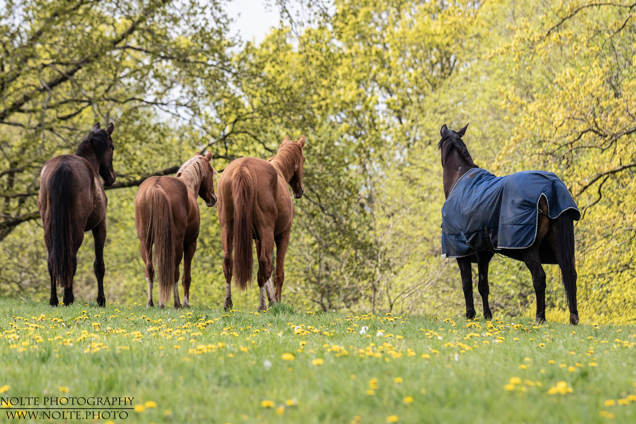 Was es da wohl gibt...