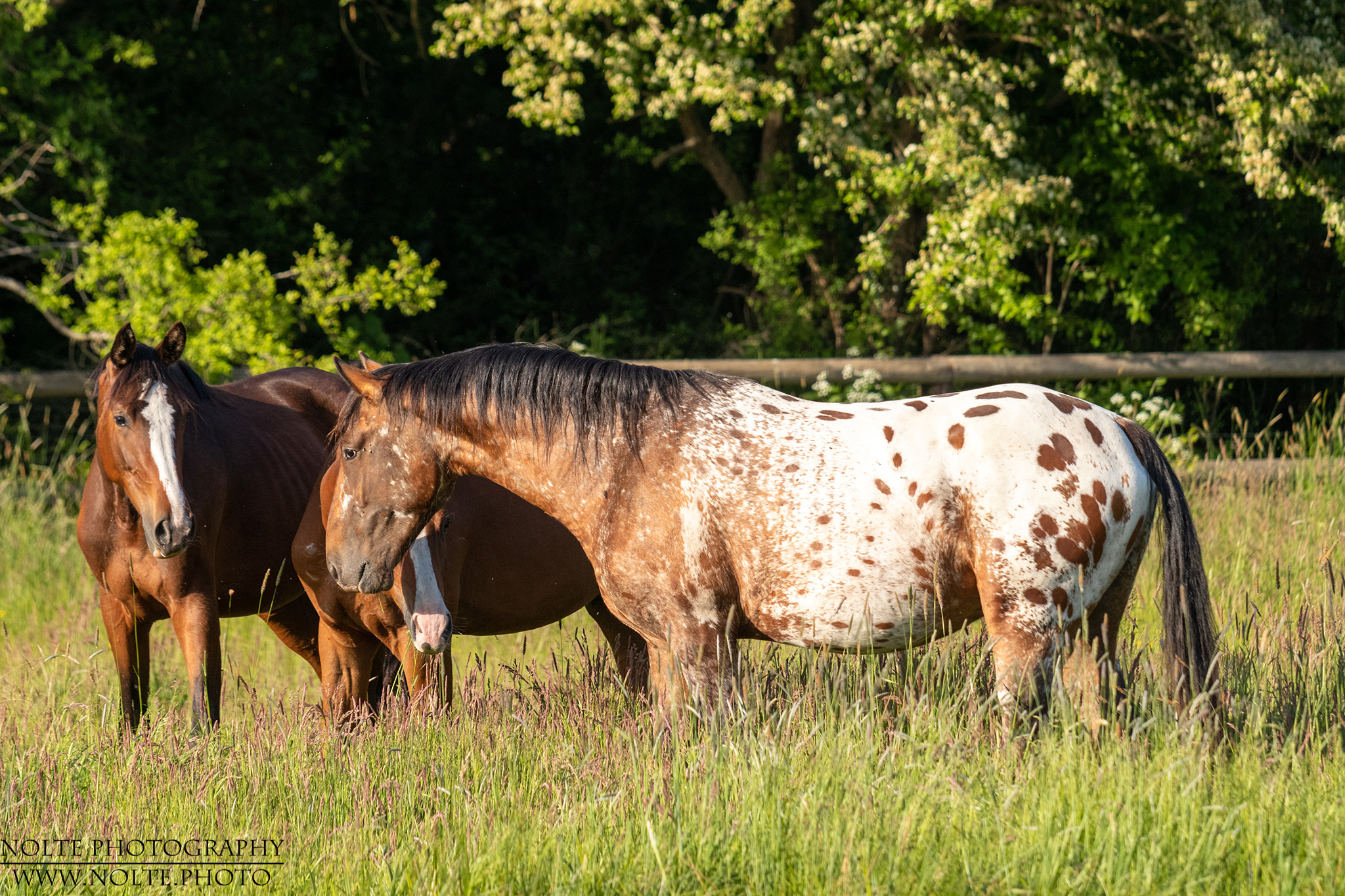 Gemütliches Beisammensein