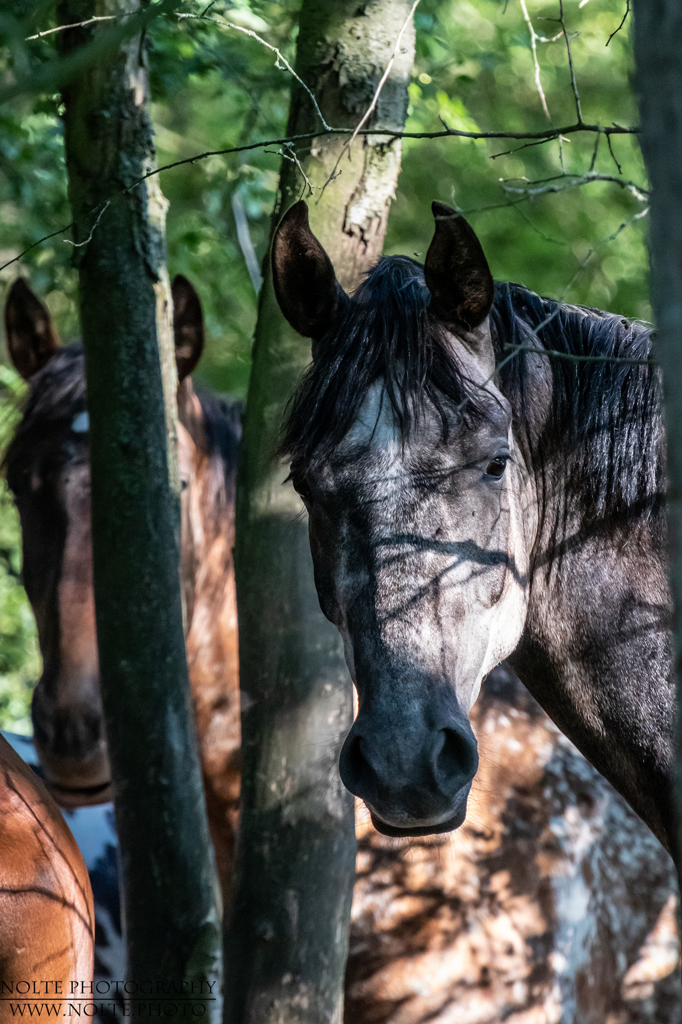Schau an, der Mensch mit der Kamera