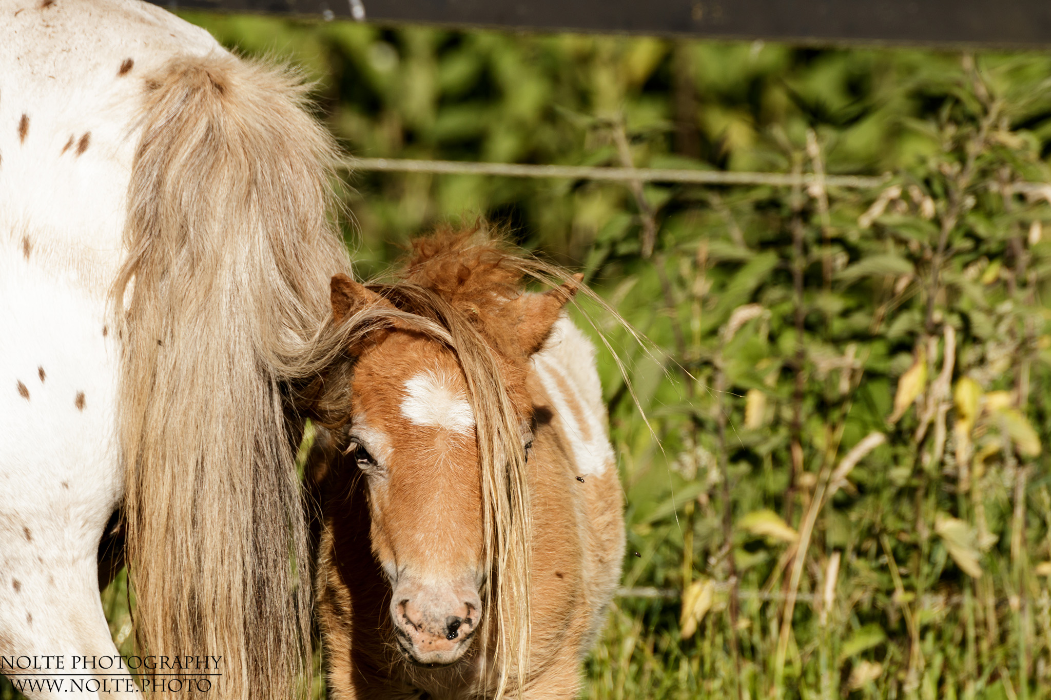 Meine sind auch irgendwann sooo lang...