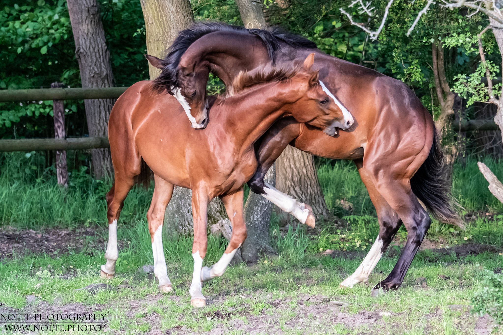 Wenn halbstarke spielen...