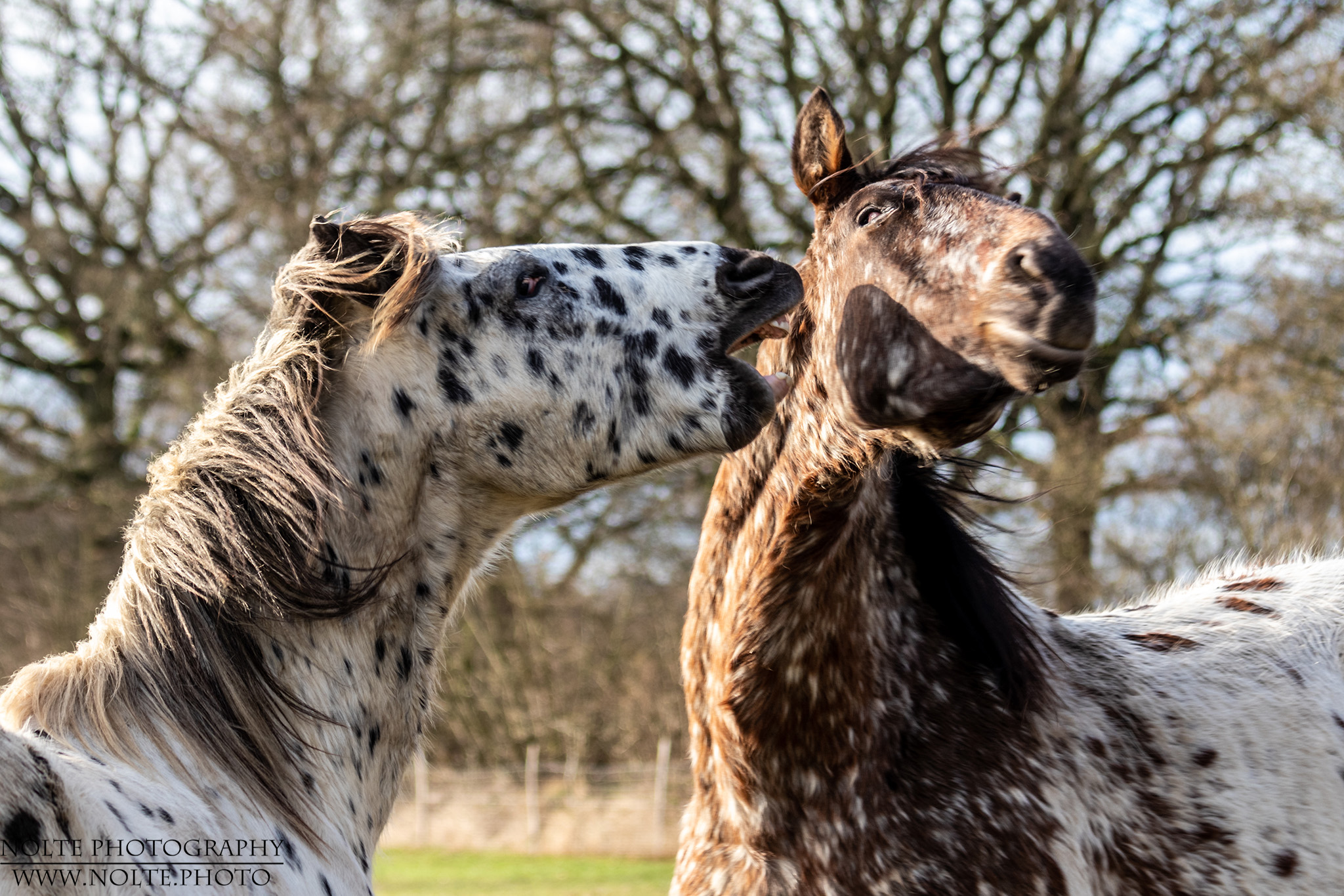 Ich hab dich zum fressen gern...