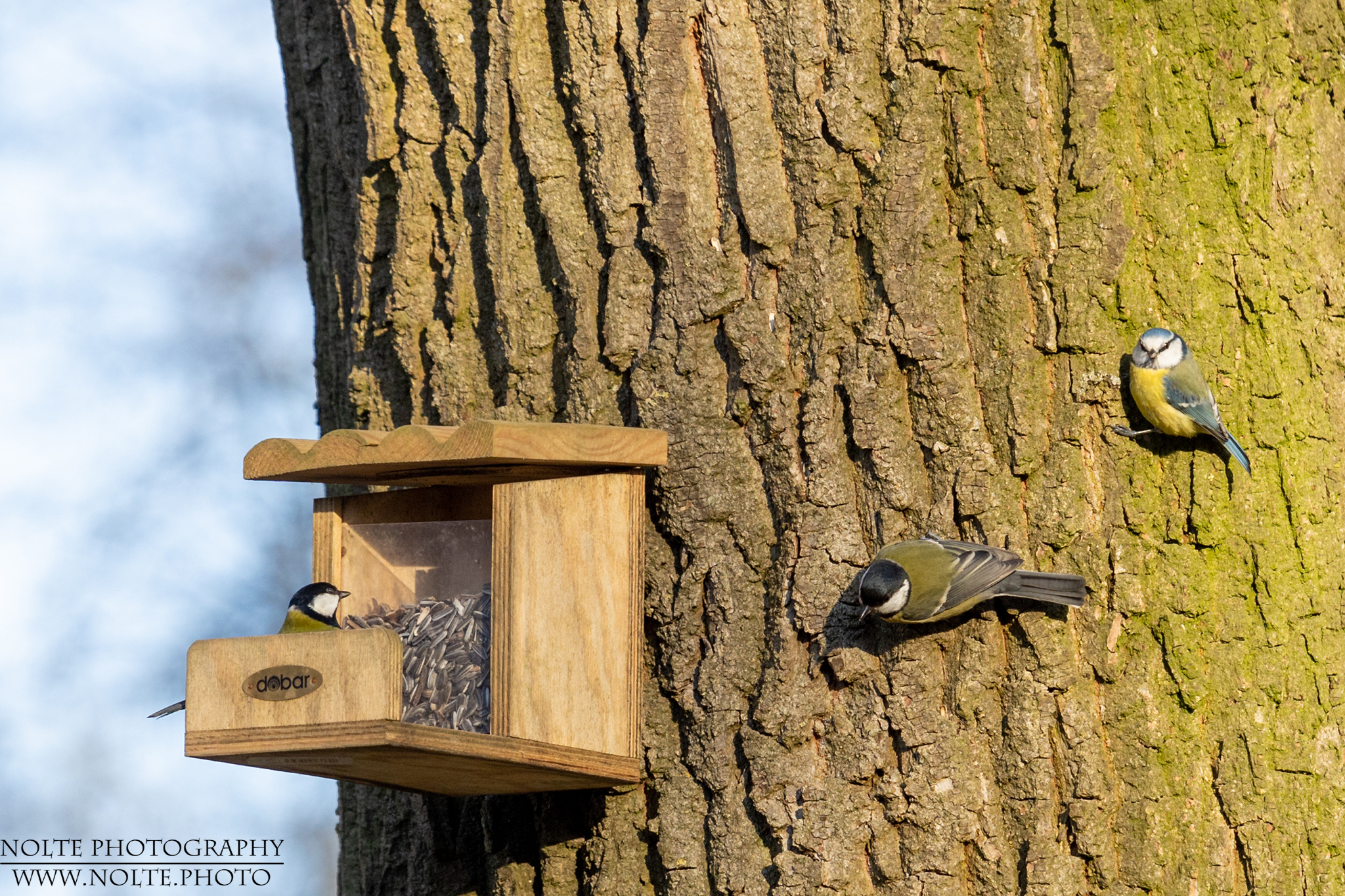 Man wartet geduldig bis man dran ist...