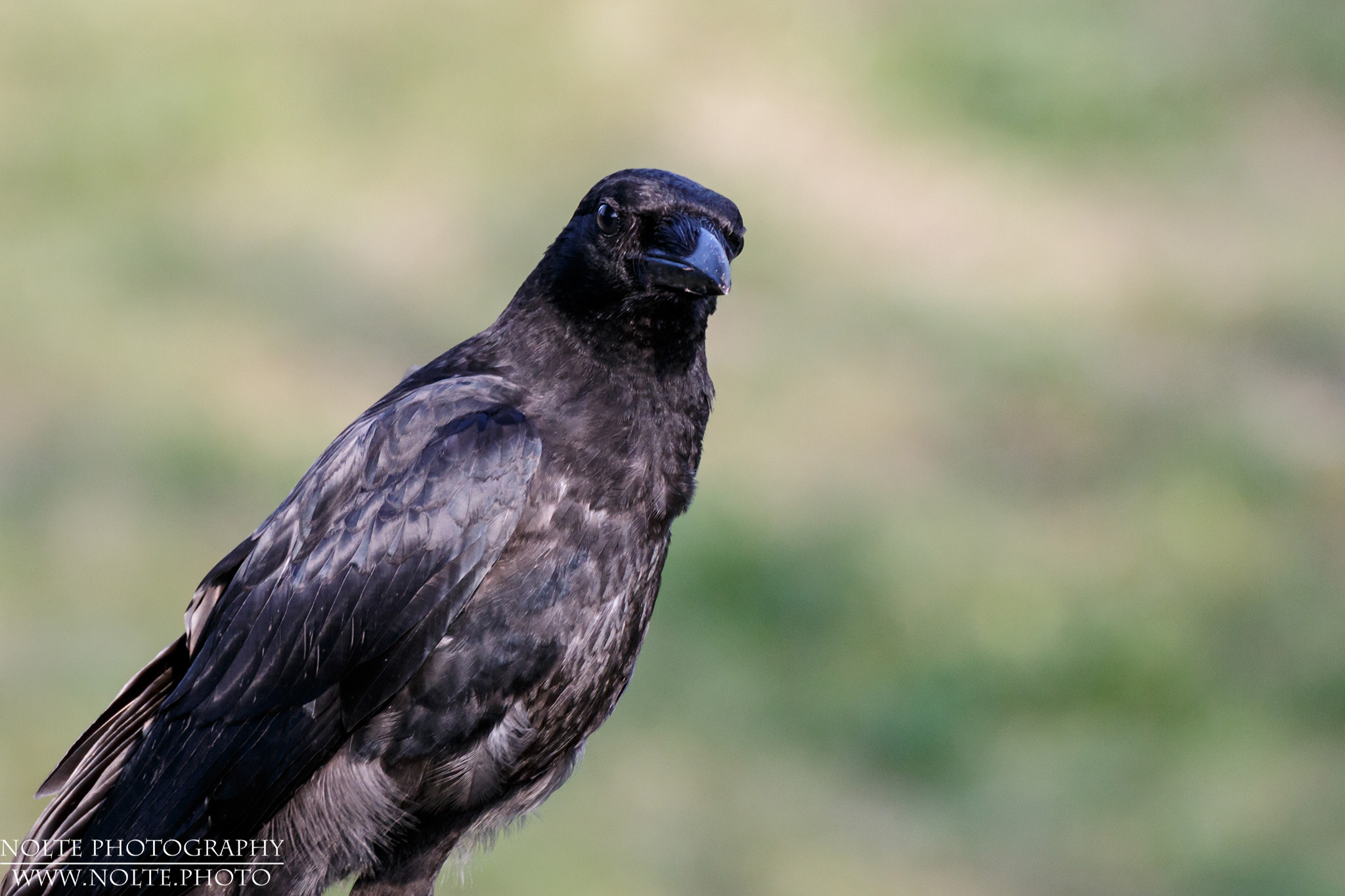 Fotografierst du mich etwa?