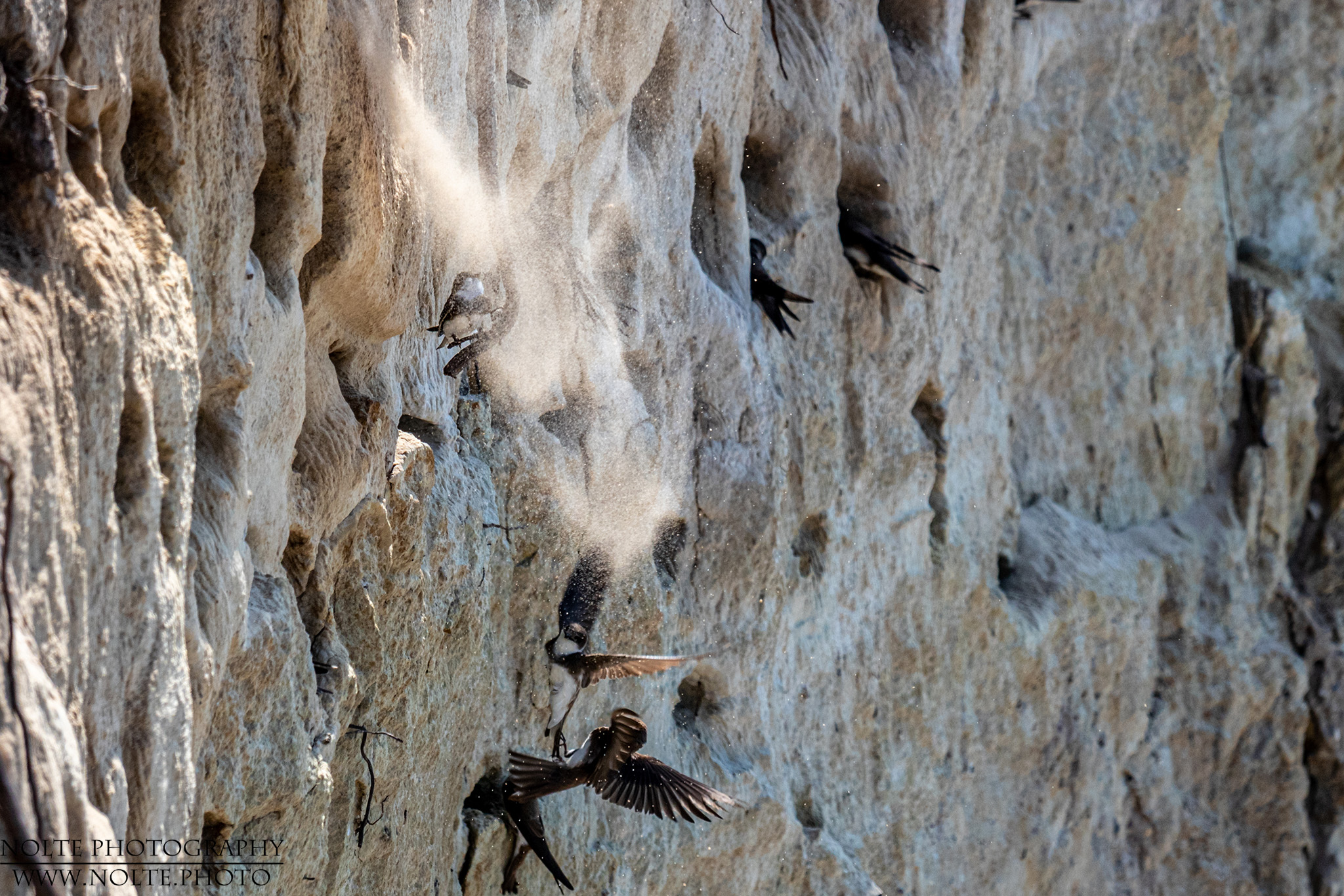 Wenn die Nachbarn das Nest renovieren...