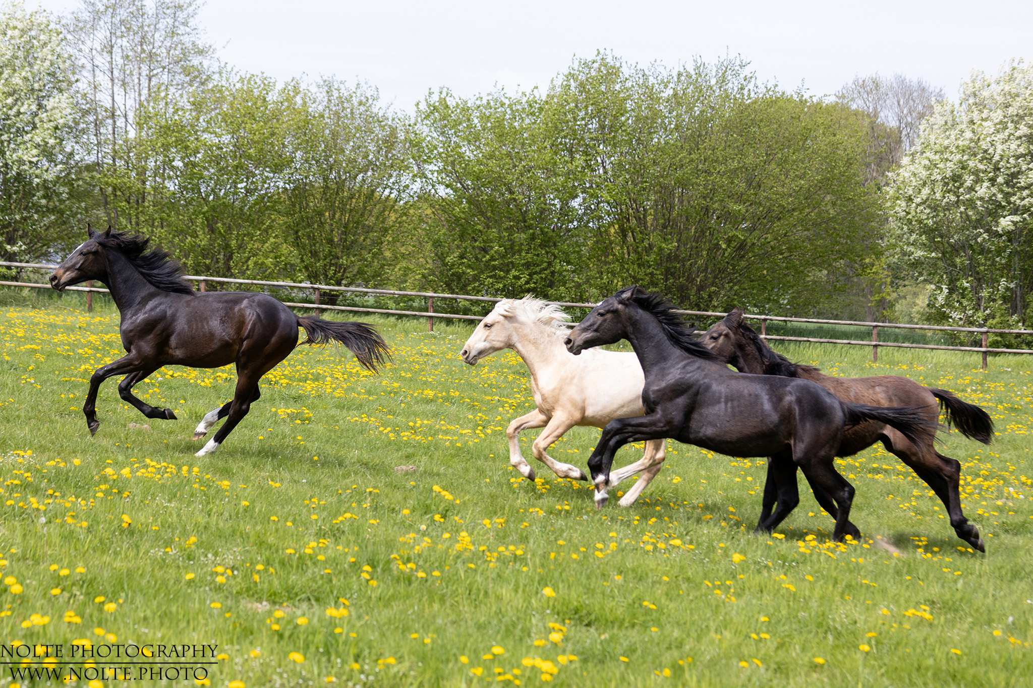 Wer macht das Rennen?